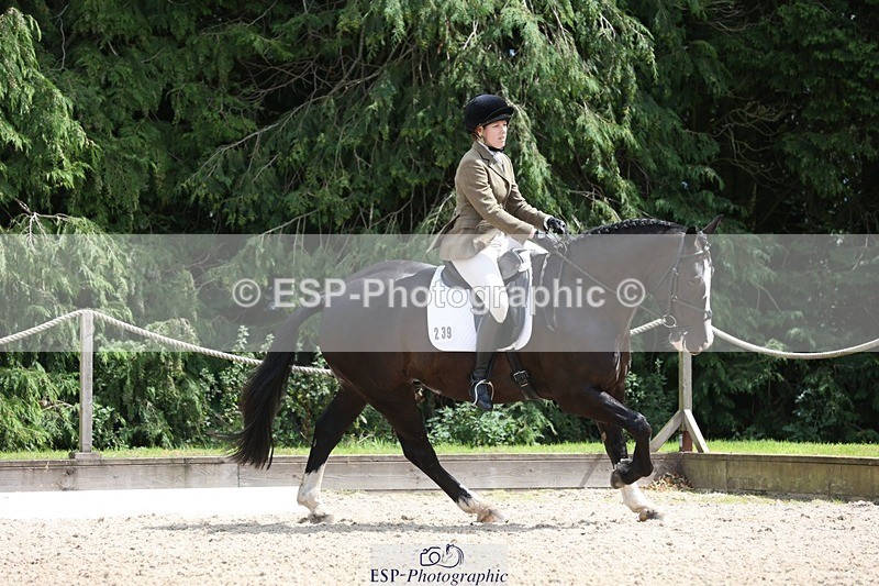 230812-134407-04303 - Cls 5 Novice Bronze 13.40 to 14.45 break