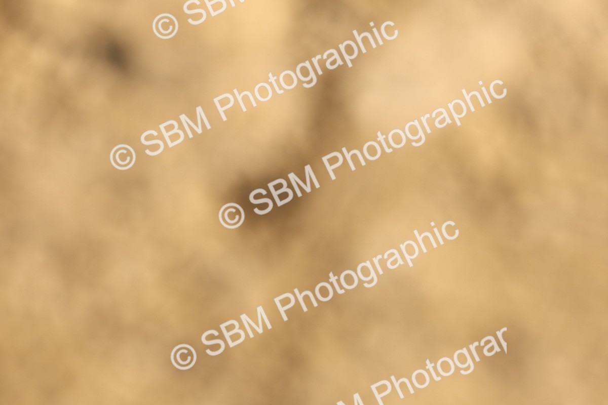 SBM_002460 - Class 51 - Elementary 1