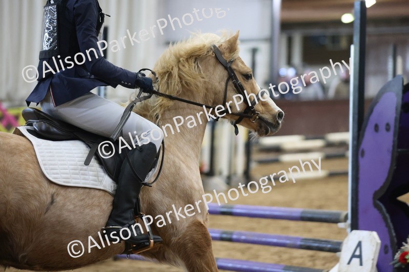 20260314-0540 - 60cm