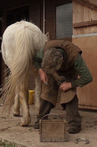 5 - The Farrier