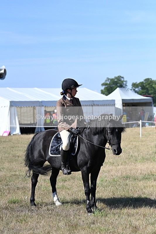 WJ7_3704 - Class 9 Mountain & Moorland Ridden