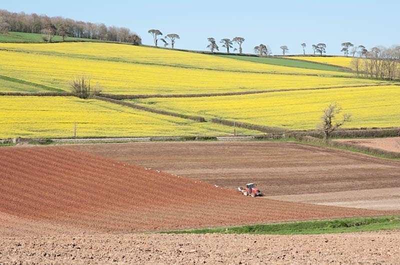 Patchwork - Landscape