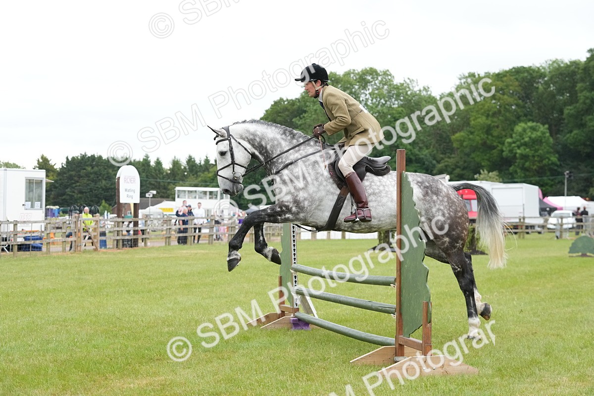 SBM_12606 - Class 97-98 - LIHS BSHA Rising Star Working Show Horse Hunter