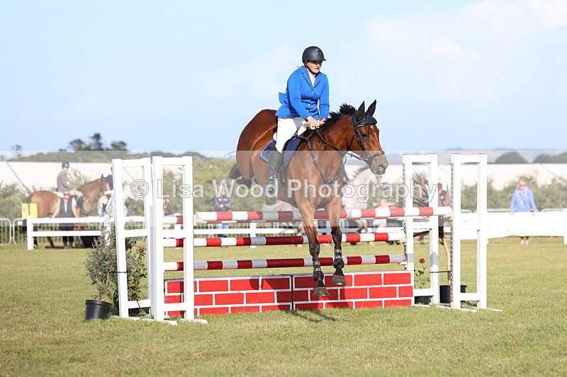 3E7A4378 - Class C: Showjumping Senior Foxhunter