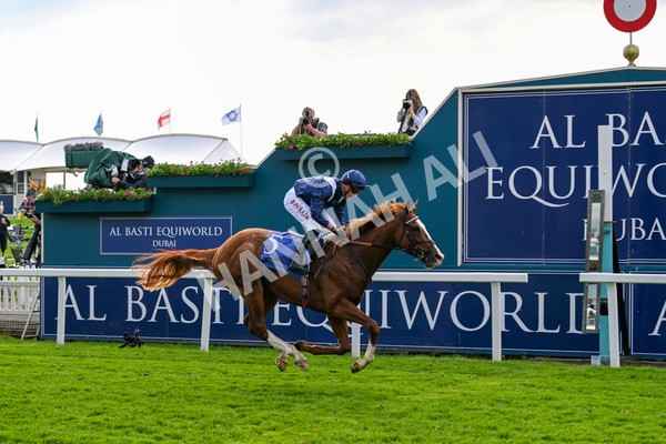 160524-Race 4-Economics-5993 - Race 4 3.45pm Al Basti Equiworld Dubai Dante Stakes