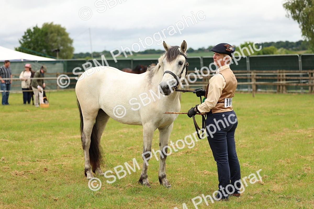 SBM_04116 - Class 64-67 - Shetland Pony In Hand