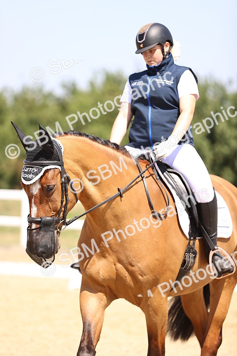 SBM_003987 - Intro 2