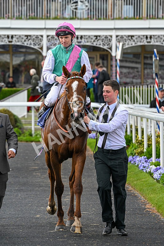 140526-Race 5-Item-5661 - Race 5 4.05pm Al Basti Equiworld Dubai Dante Stakes