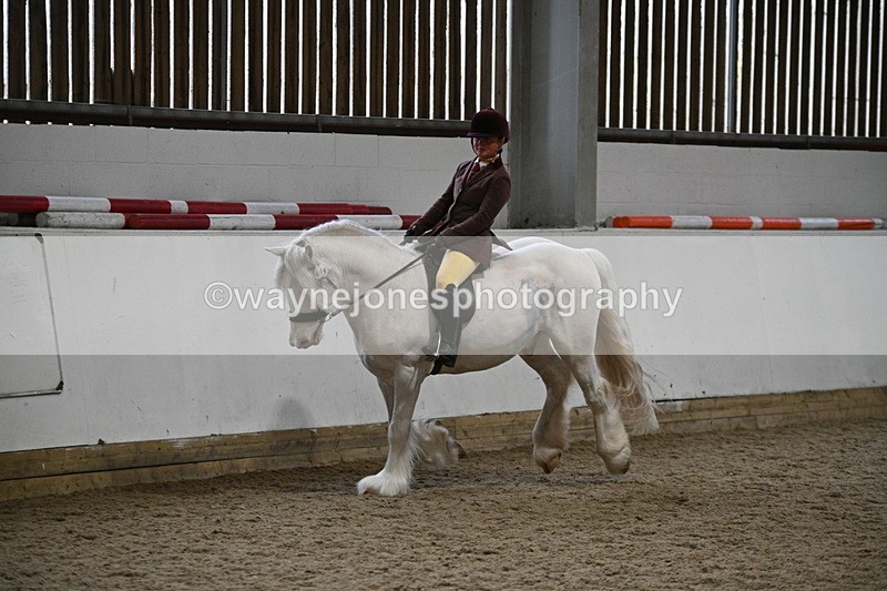 WJ7_4186 - Class 17 Ridden Cob