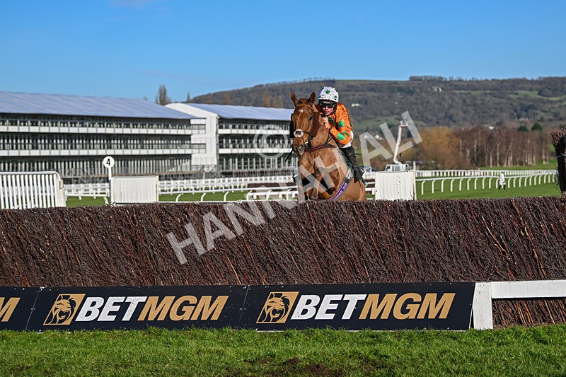 141224-Race 2-Livin On Luco-1518 - Race 2