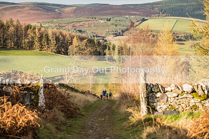 Tweed Valley-615 - High Terrain Events Tweed Valley 50 & 65K Ultra Trail Races Sunday 16th November 2025