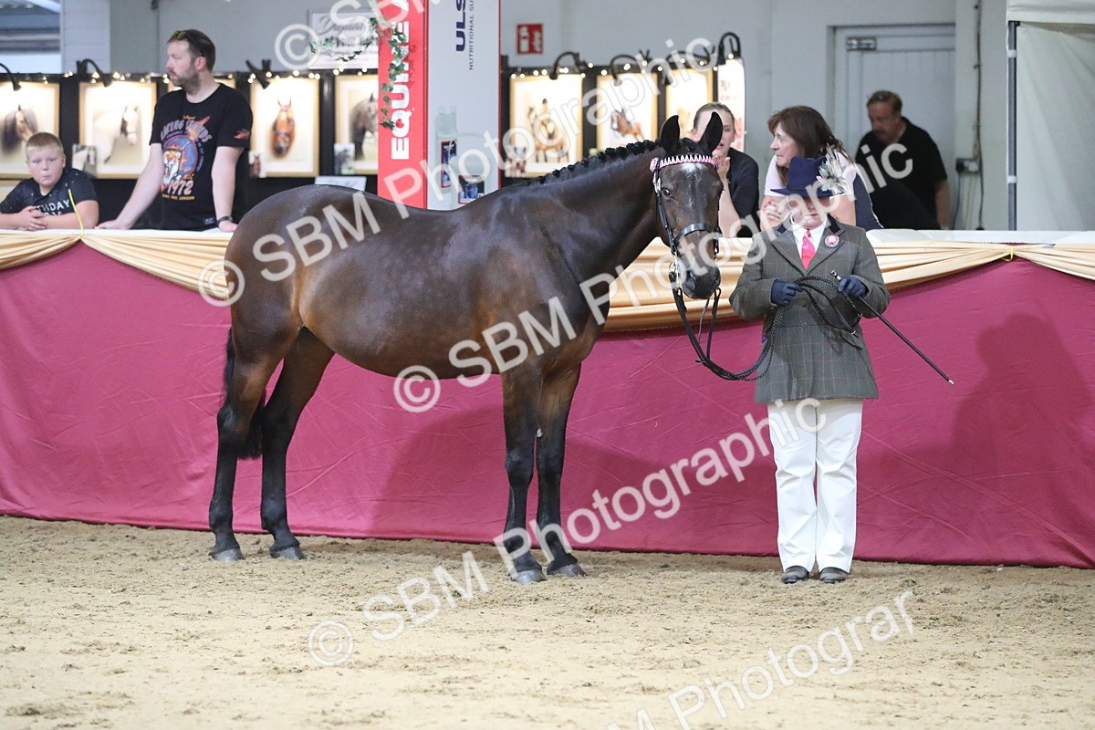 SBM_06304 - Class 9R Regional- IH Pre Vet
