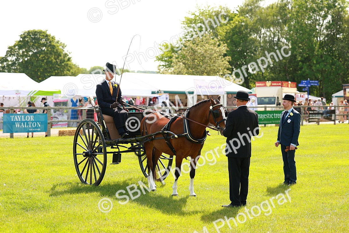 SBM_02636 - Class 2-4 - HOYS Private Driving