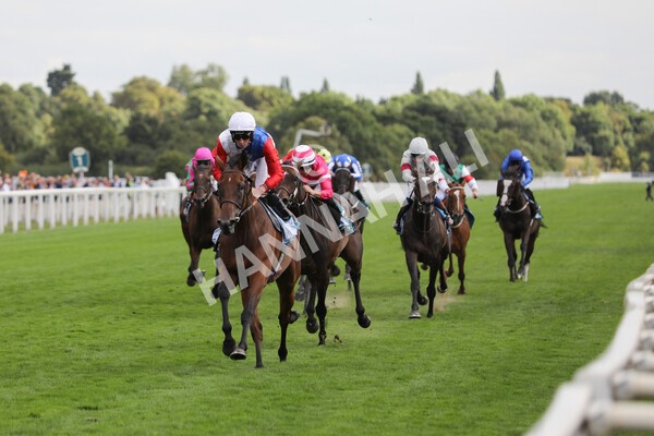 yr19082022r5-20 - Race 5 4.10pm Assured Data Protection EBF Fillies' Stakes