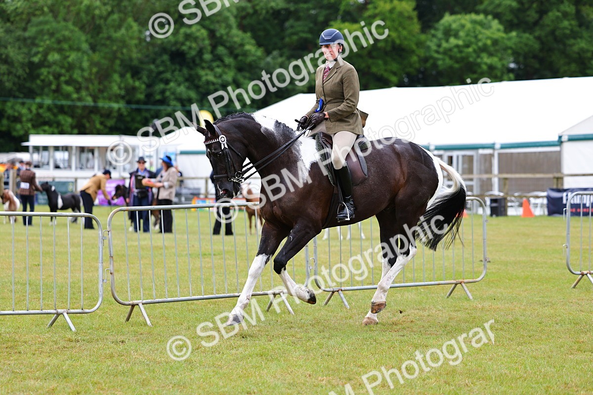 SBM_02643 - Class 9-11 Side Saddle including LIHS Rising Star Ladies Show Horse