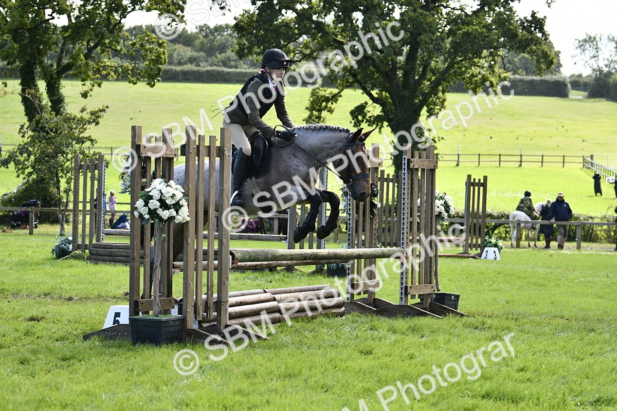 SBM_45663 - S33 - Working Hunter Pony