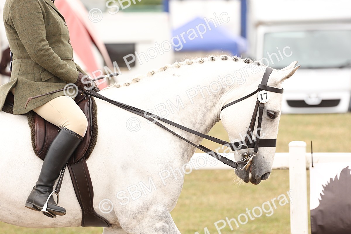 SBM_16456 - Class 212 - Ridden Hunter - Small