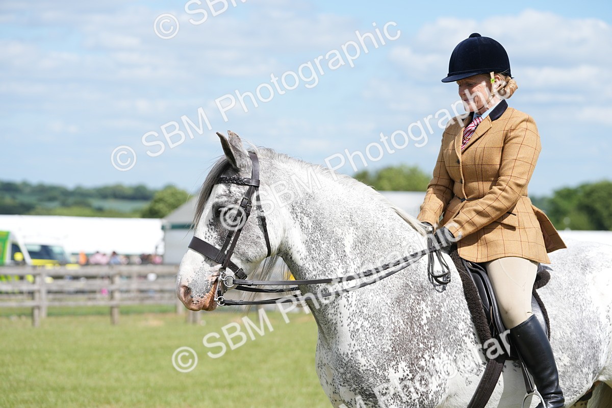 SBM_17254 - Class 107-108 - LIHS BSPS Performance Coloured Horse Pony