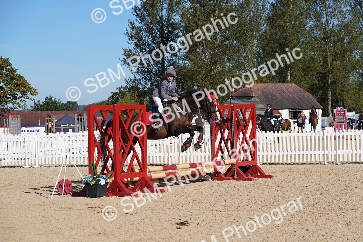 SBM_36181 - J 20 - Junior Horse 50cm Championship