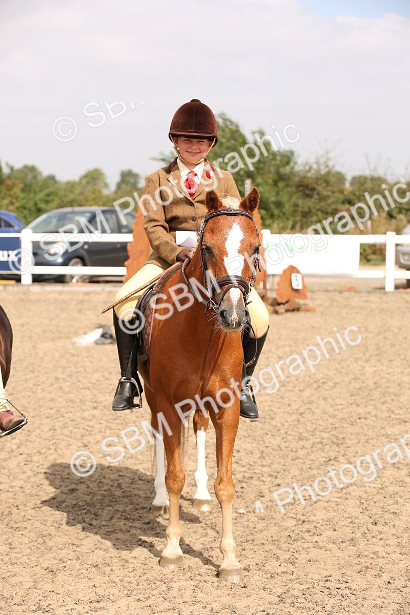 SBM_12638 - Class 405b - M&M Working Veteran 50cm 20+