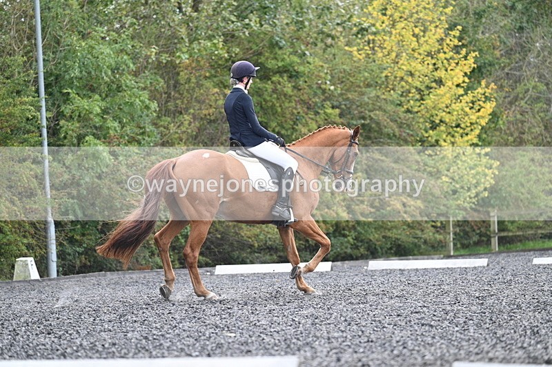 WJ7_6782 - Time 14:49 to 15:14