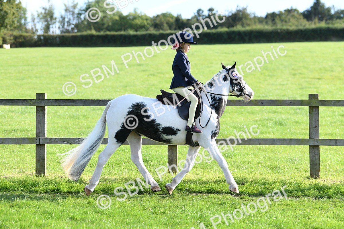 SBM_52389 - S22 - 1st Ridden Show & Show Hunter Pony