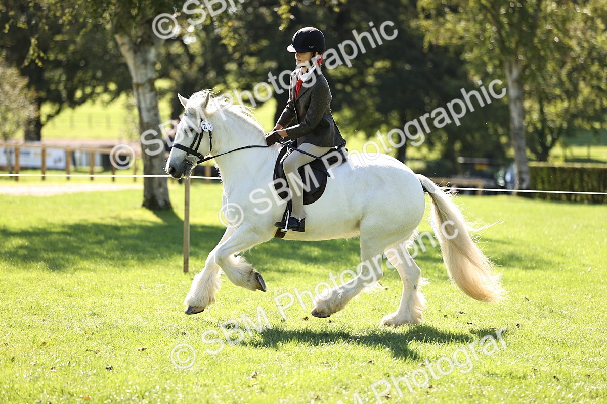 SBM_19327 - S3 - TSR Ridden Pony Showing