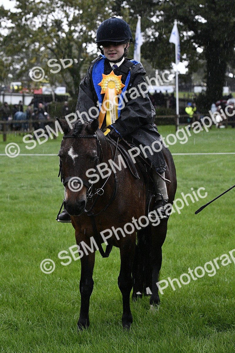 SBM_35586 - S30 - Nursery Stakes Working Hunter Pony