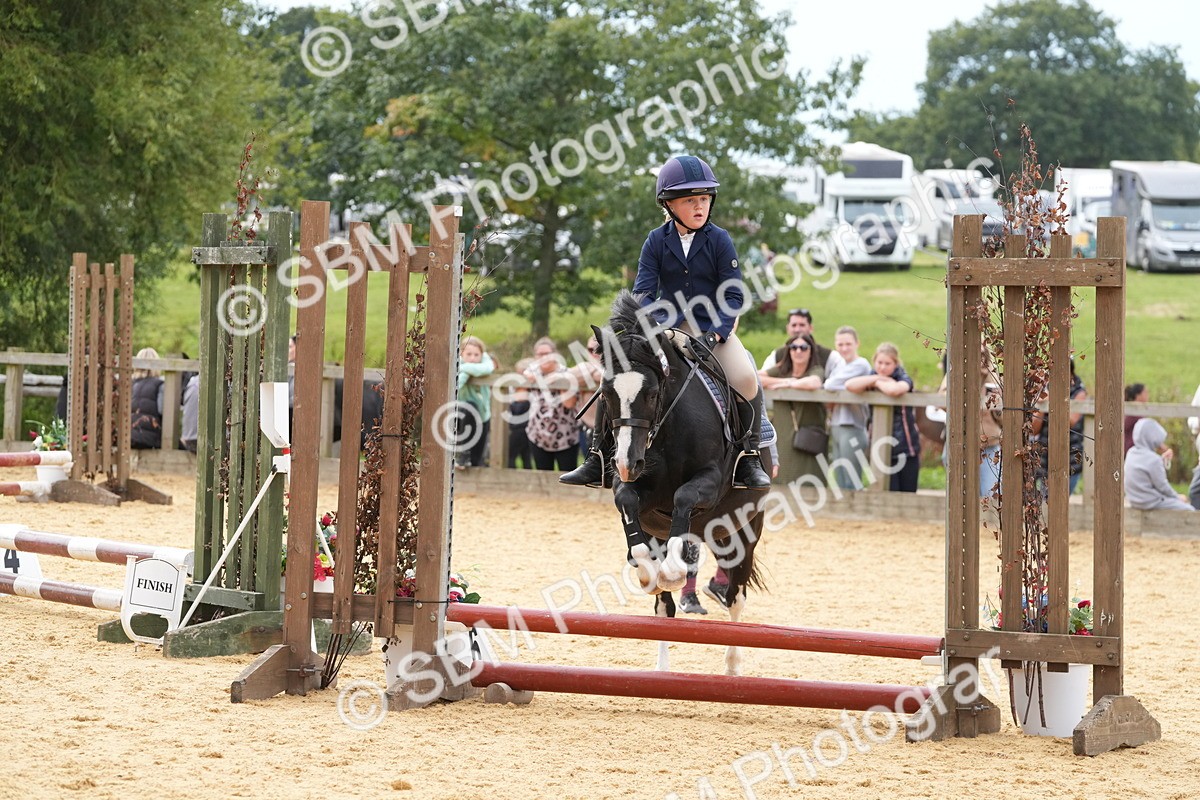 SBM_70635 - J3 - Mini Tour Junior Pony 40cm Championship