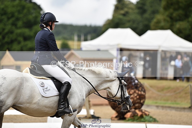 140110A-002850-10628 - 080-Polly.Vogel-Loughamore.Lady