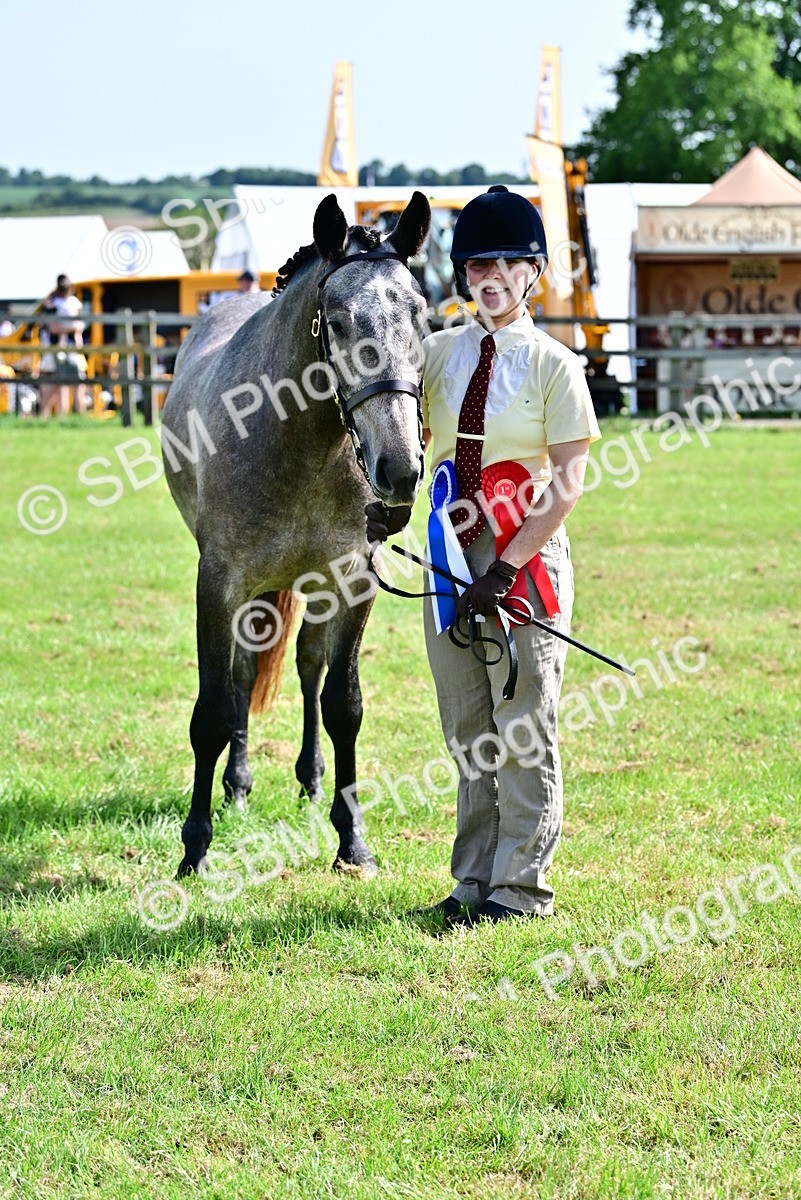 SBM_03364 - Class 50 - 54 Light Horse Breeding