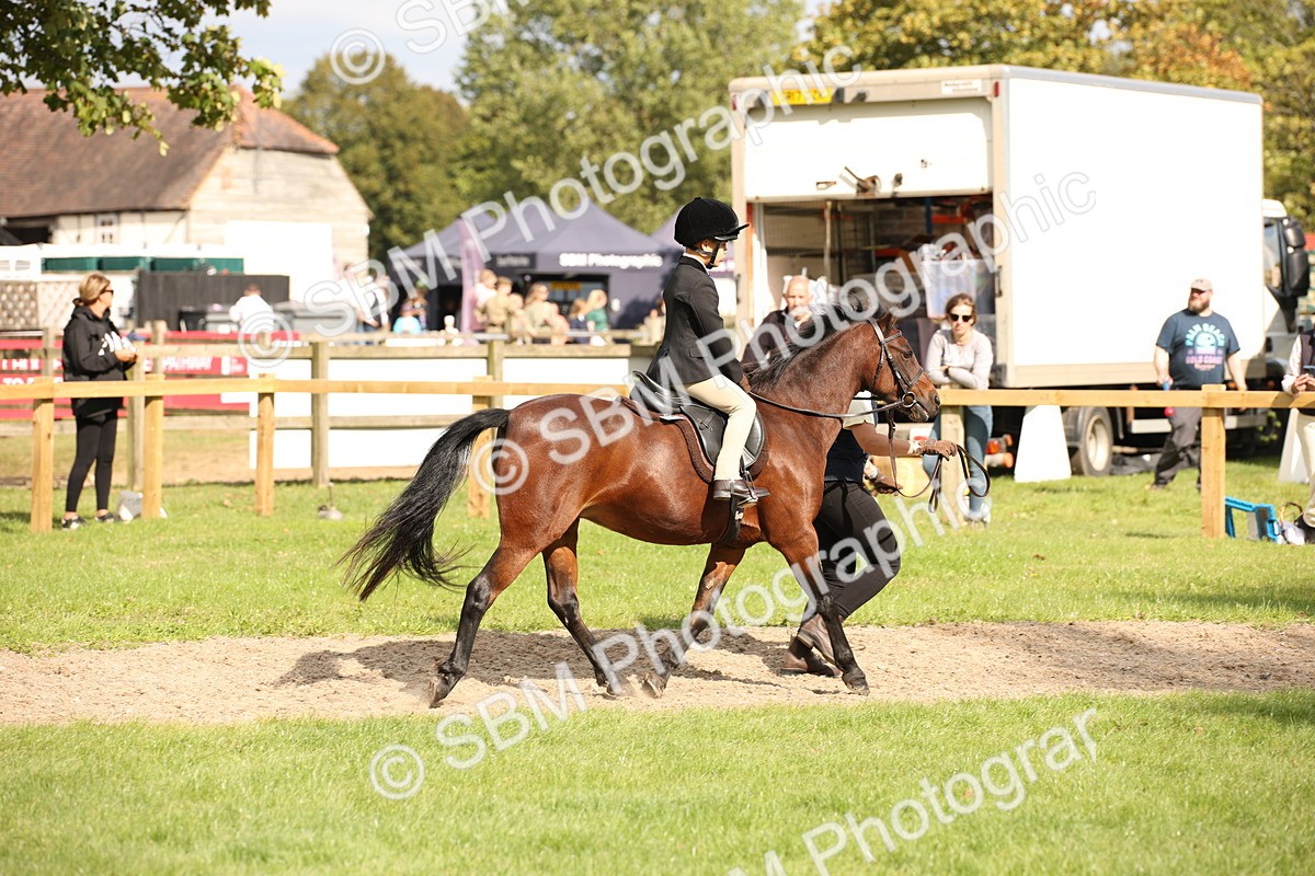 SBM_49994 - S26 - Young Veteran - Ridden