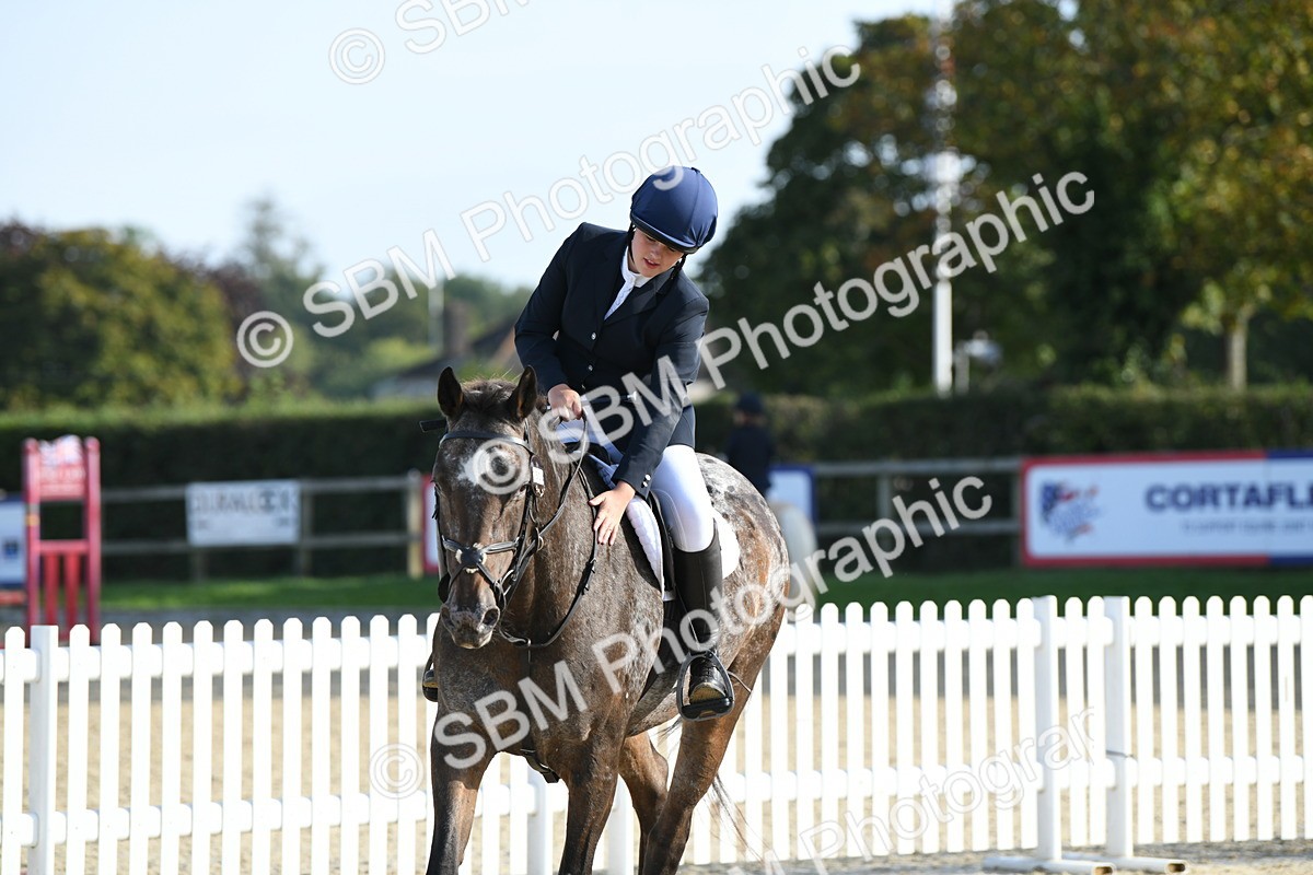 SBM_60501 - j25 - Junior Horse 80cm Championship