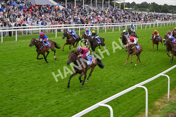 210824-Race 5-Extensio-5414 - Race 5 4.10pm Sky Bet Stayers Handicap