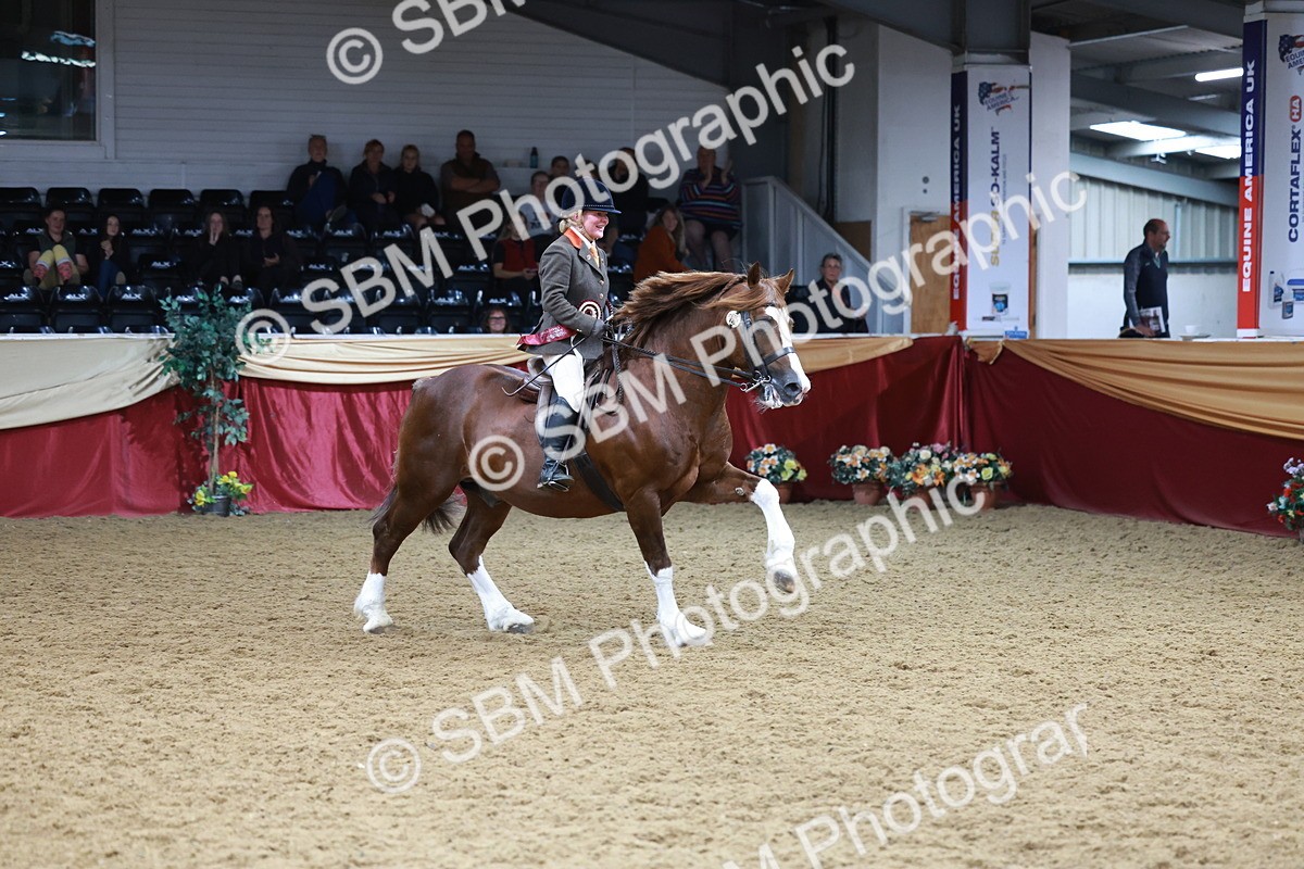 SBM_18917 - Class 952 - M&M Ridden Supreme Final