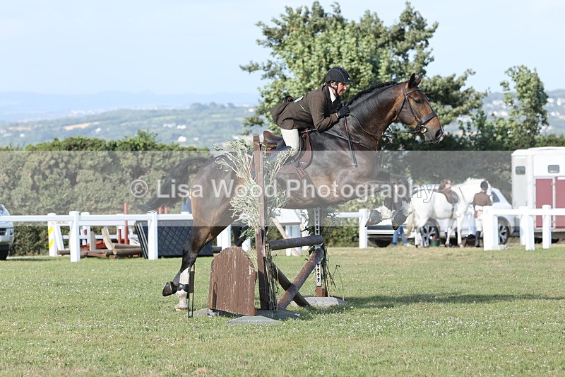 JPP_3088 - Class 21: Working Hunter 80cm