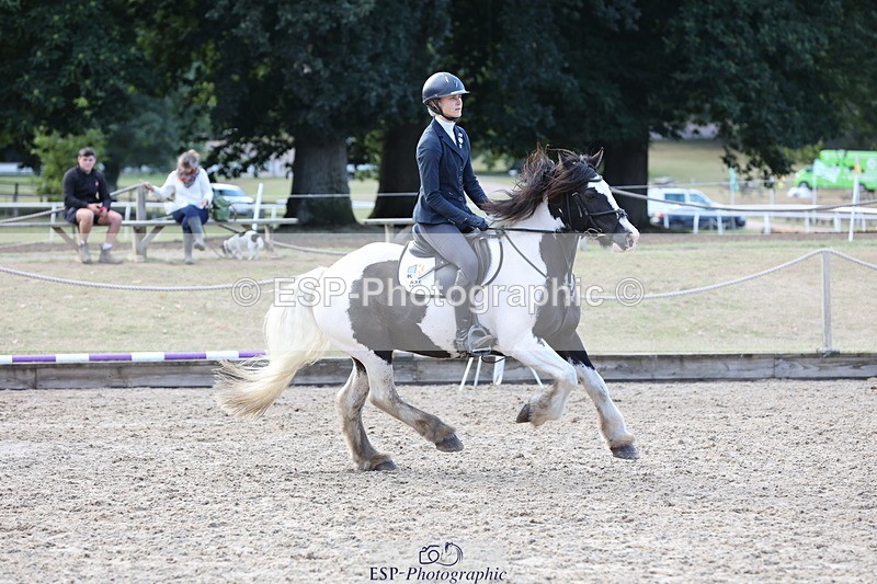 250831A-173142-11544 - Cls 46 85cm Amateur Quali