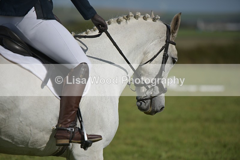 RAY_8109 - Class 2B: Trekenning Open: Dressage