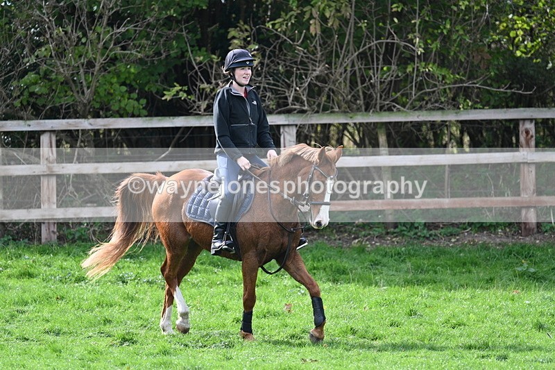 WJ7_0006 - Time 13:13 to 13:55