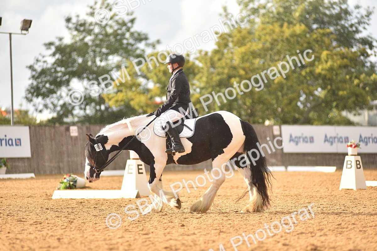 SBM_29774 - D16 -Small Tour Championship Novice 2