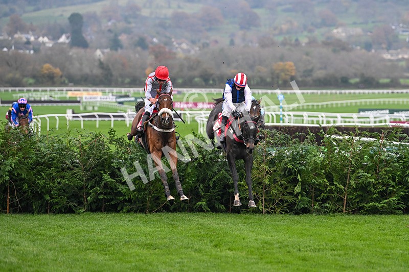 151124-Race 4-Sweet David-8204 - Race 4