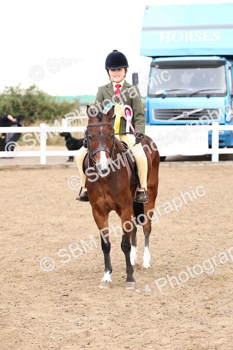 SBM_02952 - Class 53 - Ridden Competition Horse/Pony