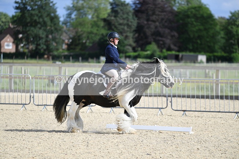 WJ5_7760 - Time 16:40 to 16:55