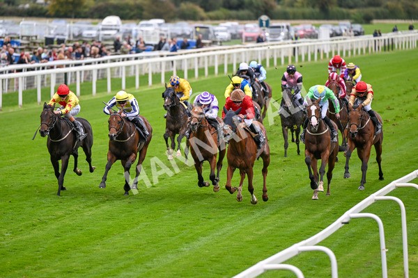 101025-Race 2-Astrazar-6313 - Race 2 British EBF £100,000 Final at York