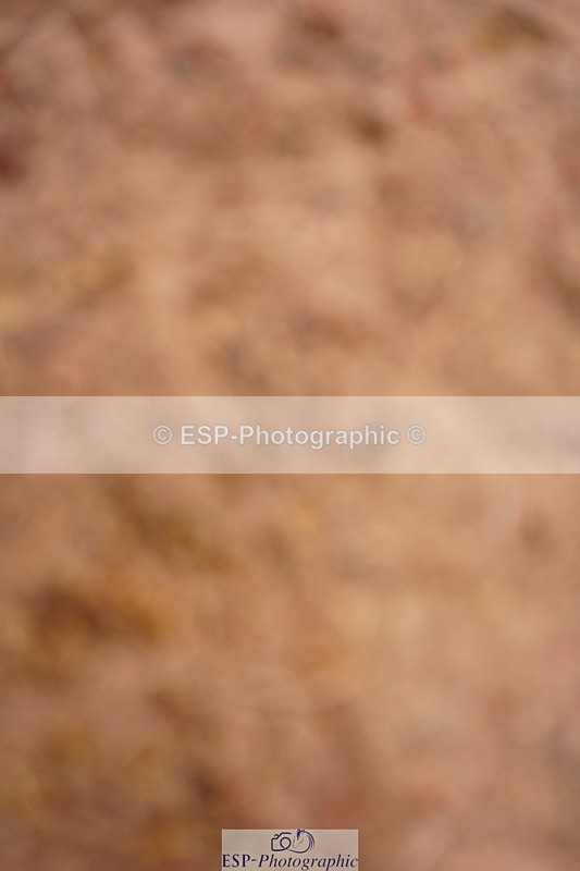 240628A-161752-00124 - Cls 1 Intro 80cm