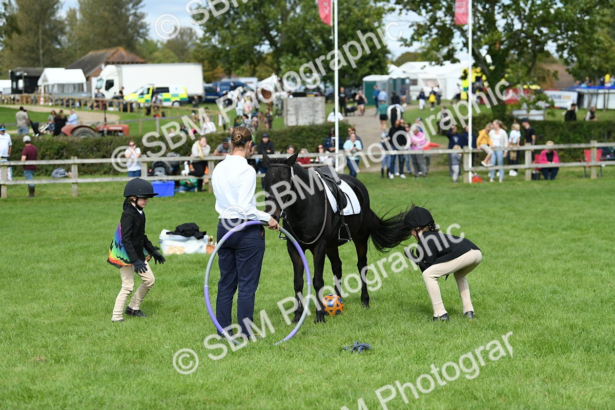 SBM_46954 - S12 - Family Horse & Pony