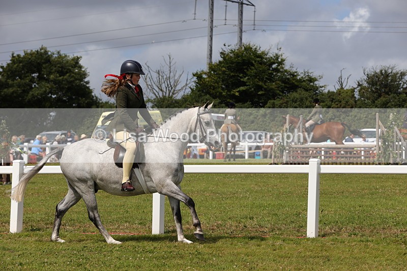 1X9A4000 - Class 32: Show Hunter Pony 153cm and under