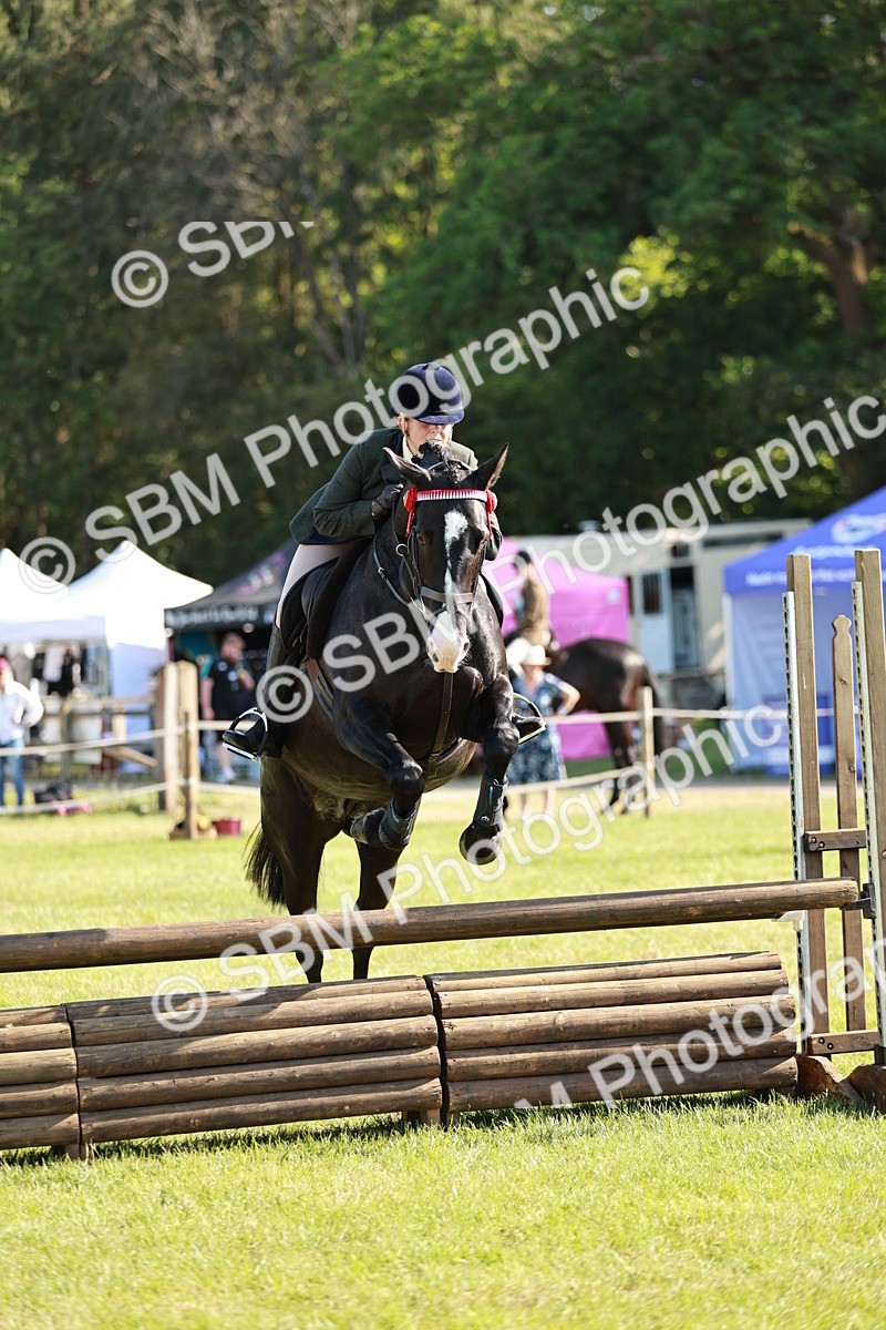 SBM_19194 - Class 115-116 - LIHS BSHA Rising Star Working Hunter & Show Horse