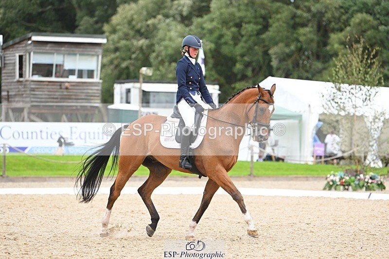 230813-132849-07573 - Cls 13 Medium Bronze 13.15 to End