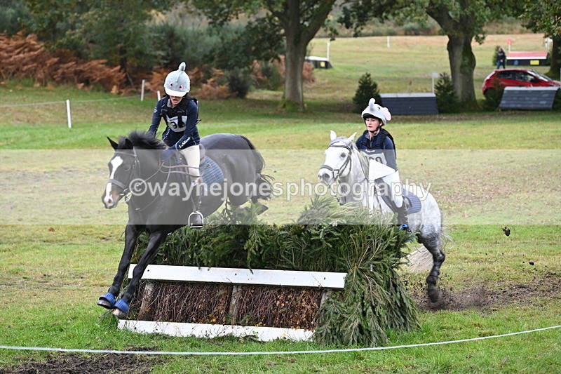 WJ6_3003 - 80cm Cam 1 Pairs Time 12:19 to 12:49